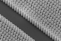 Nanotrådar i en infraröddetektor. SEM foto: Ali Nowzari
